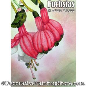 Fuchsias (Colored Pencil) PDF Download Painting Pattern - Alise Duerr