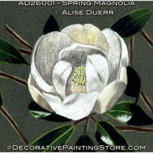 Spring Magnolia (Colored Pencil) Painting Pattern - Alise Duerr