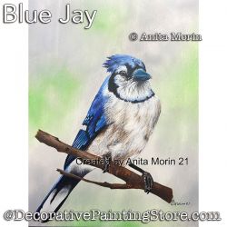 Blue Jay Painting Pattern PDF DOWNLOAD - Anita Morin