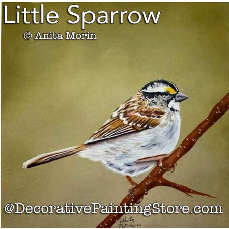 Little Sparrow Painting Pattern PDF DOWNLOAD - Anita Morin
