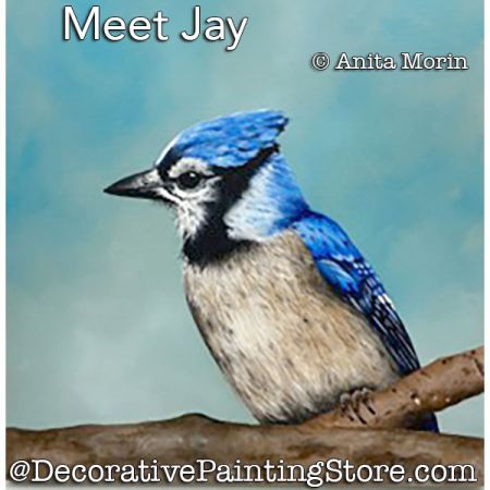 Meet Jay Painting Pattern PDF DOWNLOAD - Anita Morin