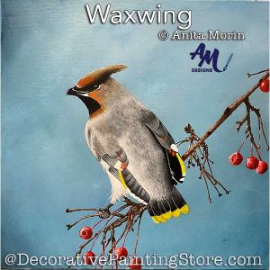 Waxwing Painting Pattern PDF DOWNLOAD - Anita Morin