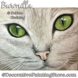 Burmilla (White Cat) Colored Pencil Download - Debbie Cushing