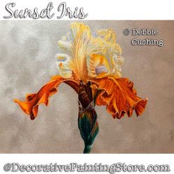 Sunset Iris Colored Pencil Painting Pattern Download - Debbie Cushing