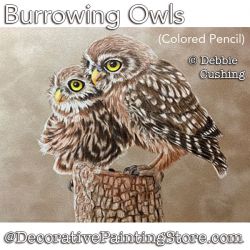 Burrowing Owls (Colored Pencil) Painting Pattern Download - Debbie Cushing