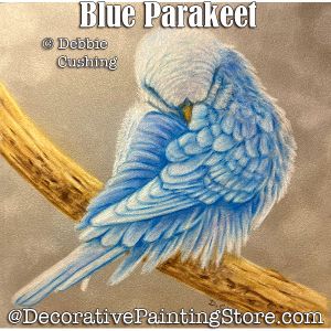 Blue Parakeet (colored pencil) Painting Pattern Download - Debbie Cushing