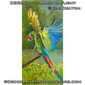 Parrot in Flight (Oil) Painting Pattern - Gini Deaton