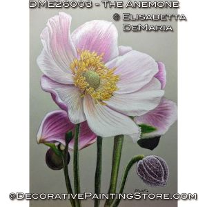 The Anemone Color Pencil Painting Pattern PDF DOWNLOAD - Elisabetta DeMaria