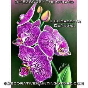 The Orchid Color Pencil Painting Pattern PDF DOWNLOAD - Elisabetta DeMaria