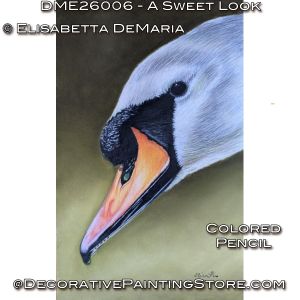 A Sweet Look Color Pencil Painting Pattern PDF DOWNLOAD - Elisabetta DeMaria