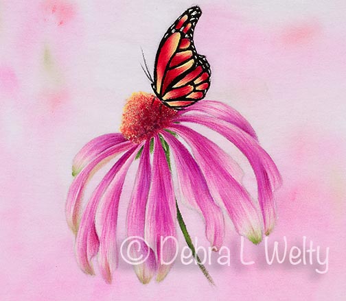 Cone Flower and Monarch Pattern DOWNLOAD