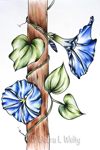 Morning Glory in Pen & Ink and Oils e-Pattern DOWNLOAD