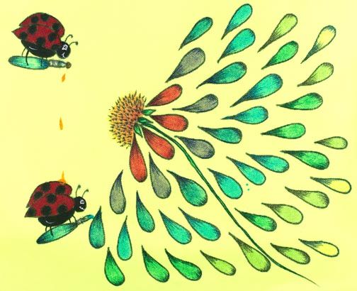Ladies Love to Paint Fabric e-Pattern DOWNLOAD