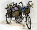 The Victorian Gardener ePacket - Wendy Fahey - PDF DOWNLOAD