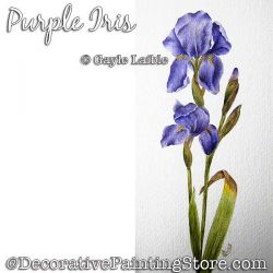 Purple Iris Watercolor - Gayle Laible - PDF DOWNLOAD
