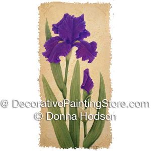 Purple Beauty by Donna Hodson - PDF DOWNLOAD