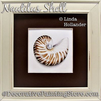 Nautilus Shell Download Painting Pattern - Linda Hollander
