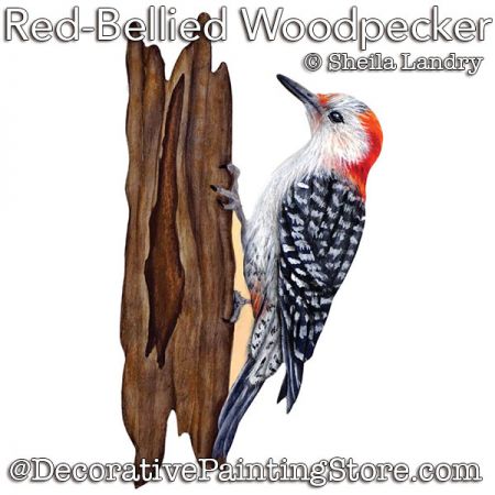 Red Bellied Woodpecker - Songbird Series Ornament ePattern - Sheila Landry