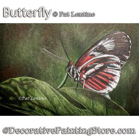 Butterfly (Colored Pencil) Painting Pattern PDF DOWNLOAD Painting Pattern - Pat Lentine