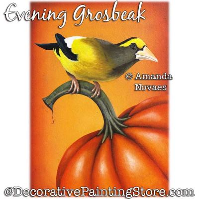 Evening Grosbeak Painting Pattern PDF DOWNLOAD - Amanda Novaes