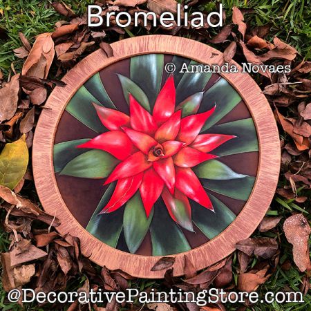Bromeliad Painting Pattern PDF DOWNLOAD - Amanda Novaes