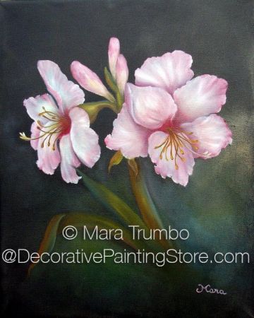 Pink Amaryllis (Oils) Painting Pattern - Mara Trumbo - PDF DOWNLOAD